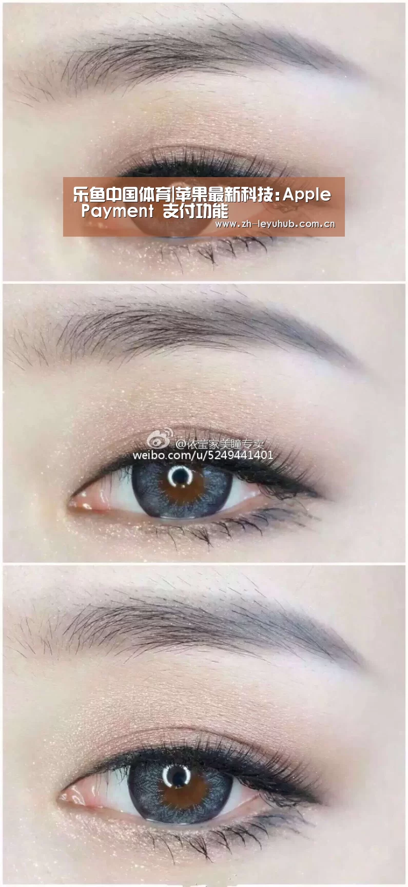 乐鱼体育